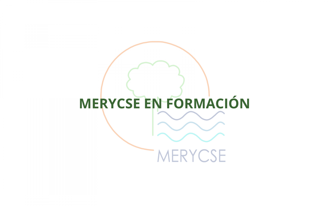 Formación especializada en edificación sostenible durante el mes de diciembre