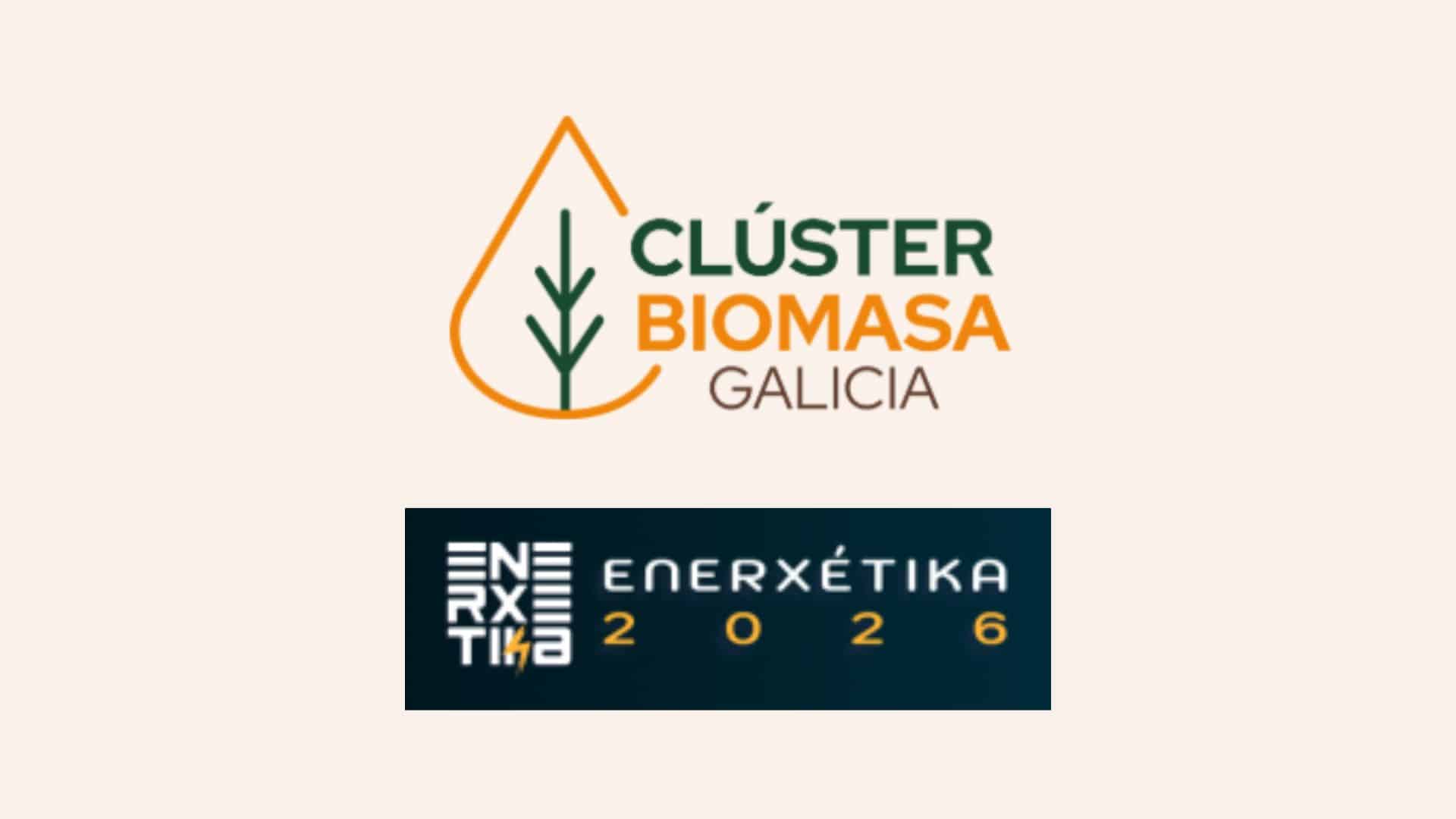cluster biomasa